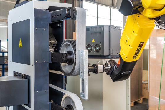 Potere elettronico di superficie robot dell'alta di flessibilità del metallo della macinazione levigatrice di CNC